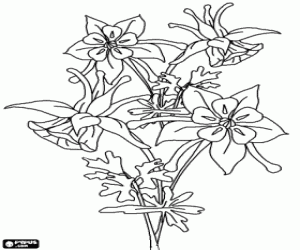 Coloriage Belles fleurs en forme de cloche