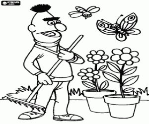 Coloriage Bert et les fleurs du jardin