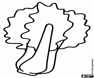 Coloriage La bette à carde, une plante comestible