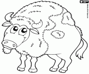 Coloriage Bison, animal sauvage