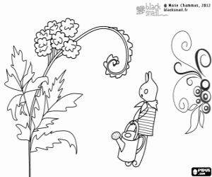 Coloriage Blackie et les plantes phacelias