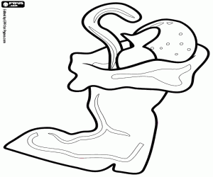 Coloriage Botte de Noël avec des cadeaux