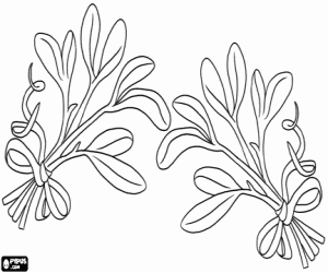 Coloriage Deux branches de gui