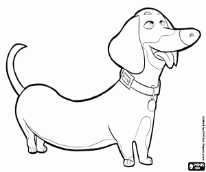 Coloriage Buddy, un chien saucisse