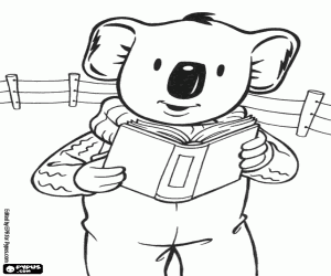 Coloriage Buster le koala lit un livre