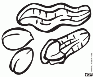 Coloriage Cacahuètes en coque et arachides décortiquées