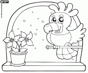 Coloriage Le cacatoès et une fleur de Noël
