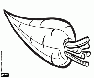 Coloriage La carotte, une racine, légume