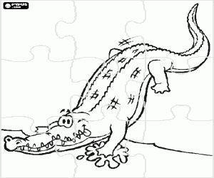 Coloriage Casse-tête avec un crocodile