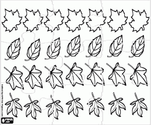 Coloriage Casse-tête de feuilles différentes