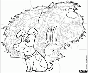 Coloriage Casse-tête de Max, Duke et Boule de neige