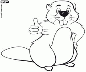 Coloriage Castor
