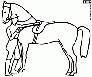 Coloriage Le cavalier à côté du cheval de dressage