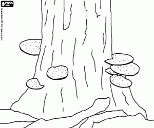 Coloriage Champignons sur un tronc d'arbre
