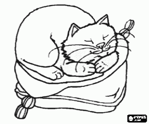 Coloriage Le chat dort sur le coussin