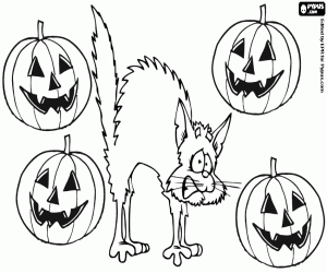 Coloriage Chat terrifié sur Halloween
