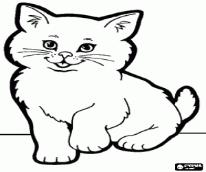Coloriage Chaton joli et sympathique