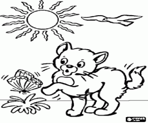 Coloriage Chaton jouant avec un papillon
