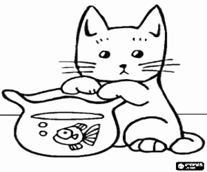 Coloriage Chaton jouant avec un petit aquarium