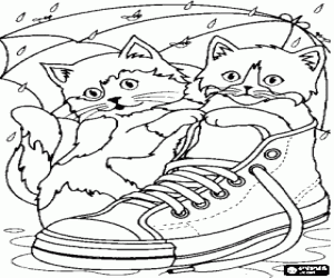 Coloriage Les chatons avec une chaussure de sport