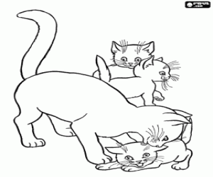 Coloriage Chatte en jouant avec ses chatons