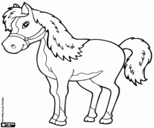 Coloriage Cheval de compétition