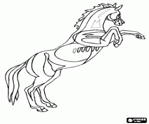 Coloriage Cheval élevé