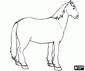 Coloriage Cheval