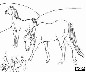 Coloriage Chevaux à le pâturage dans le domaine