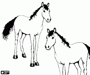 Coloriage Chevaux sur les plaines
