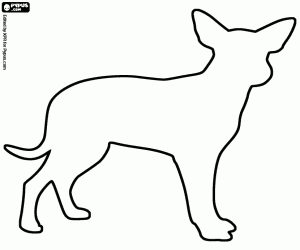 Coloriage Chien Bouvier australien, silhouette
