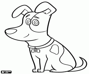 Coloriage Le chien choyé Max