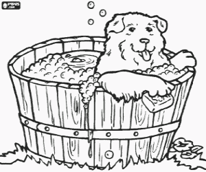 Coloriage Chien en prenant un bain