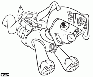 Coloriage Le chien labrador Zuma de Paw Patrol