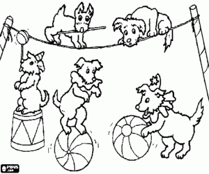 Coloriage Chiots acrobates au Cirque