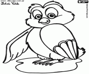 Coloriage La chouette, un oiseau nocturne de la forêt