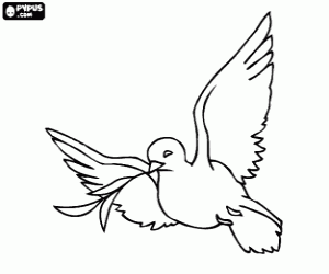 Coloriage La Colombe Blanche, symbole de la paix