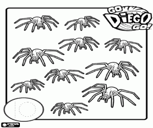 Coloriage Compter dix araignées avec Diego