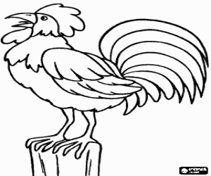 Coloriage Coq en chantant