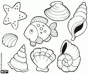 Coloriage Coquillages, étoiles de mer et poisson