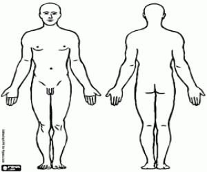 Coloriage Le corps d'un homme