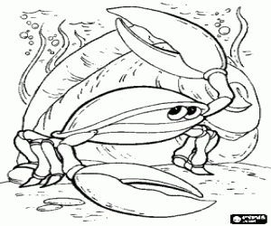 Coloriage Crabe sur les fonds marins