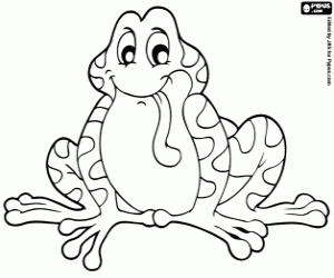 Coloriage Le crapaud