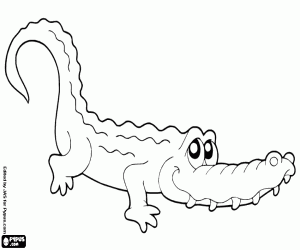 Coloriage Crocodile, un reptile