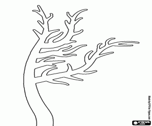 Coloriage Curieux arbre sans feuilles
