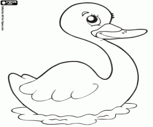 Coloriage Le cygne