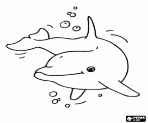 Coloriage Dauphin hereux dans la mer