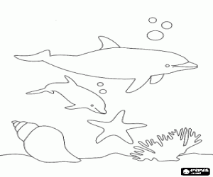 Coloriage Dauphins à nager dans le lit de la mer