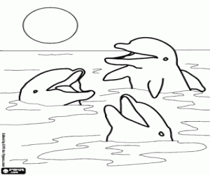 Coloriage Dauphins avec leurs têtes hors de l'eau