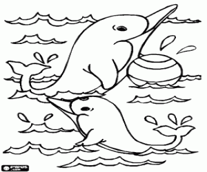 Coloriage Dauphins jouant avec une balle